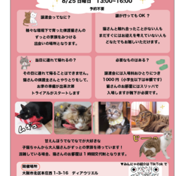 ストーカーになっちゃう？！甘えんぼう大集合！ サムネイル2