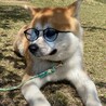 イケメン！