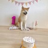 1歳の誕生日