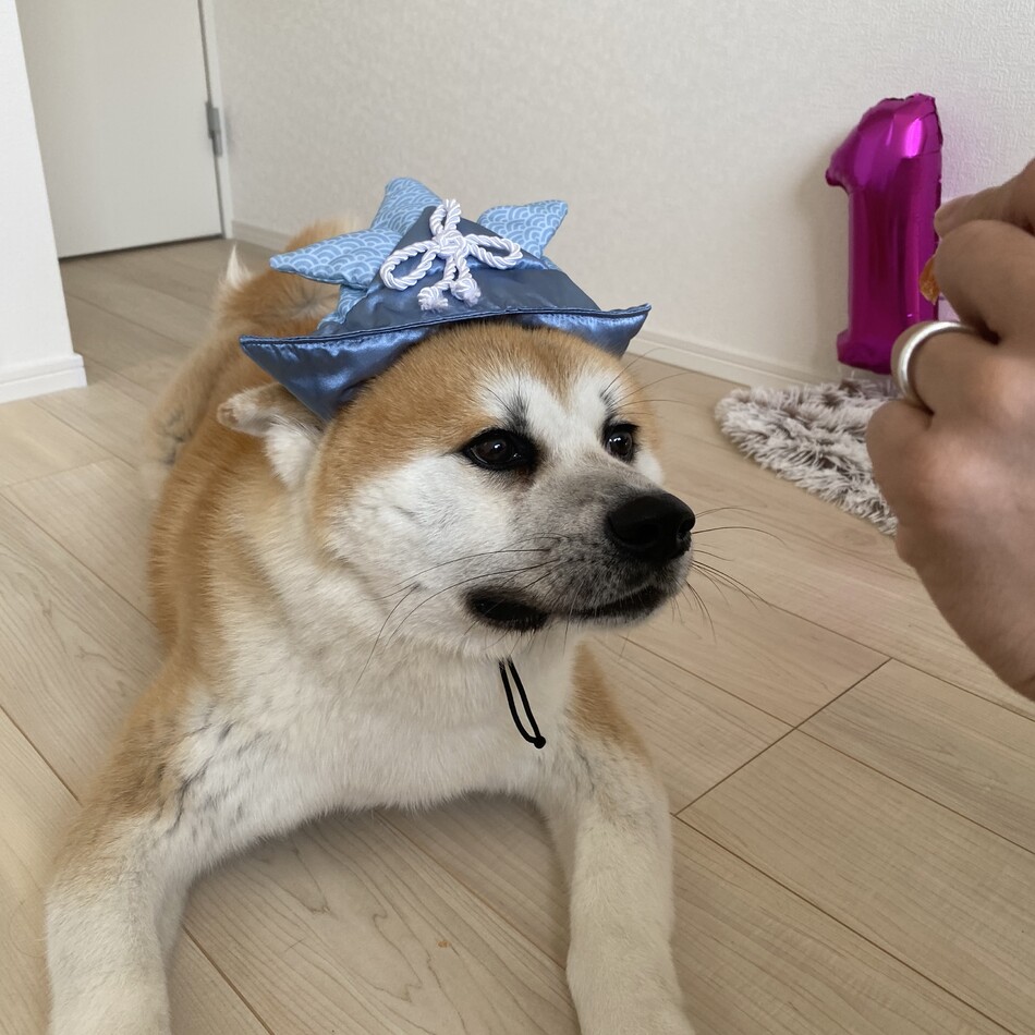 マロンのカバー写真