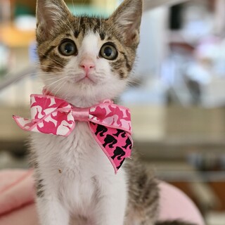 ココちゃん❤️