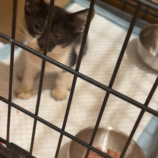 白黒　大物感漂う女の子！