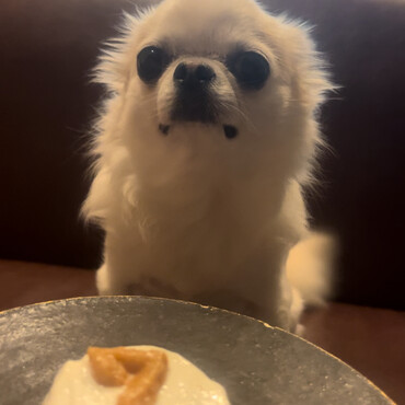 【誕生日】手作りケーキで7さいのお祝い