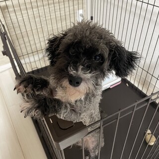 元気いっぱいな男の子