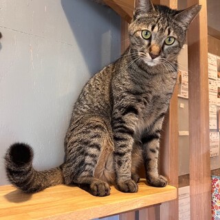 1番楽しみな時間はご飯の時間！少しビビりな、空