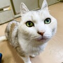 一緒にいれる時間は短くても