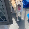 可愛い太陽の優しい家族を探しています