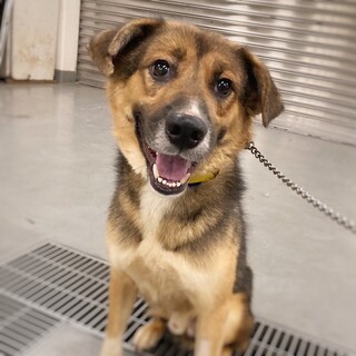 伸びしろたっぷり！　ひろしくん　3-4歳