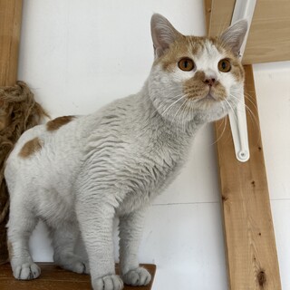 とってもマイペースな性格の【テルくん】