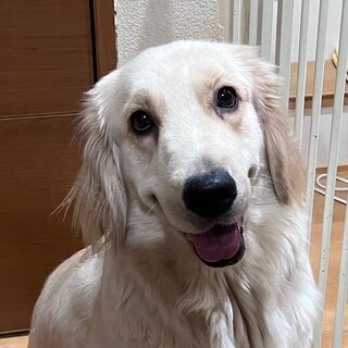 決定☆『のあ』ハンデ有、とっても元気で明るい子