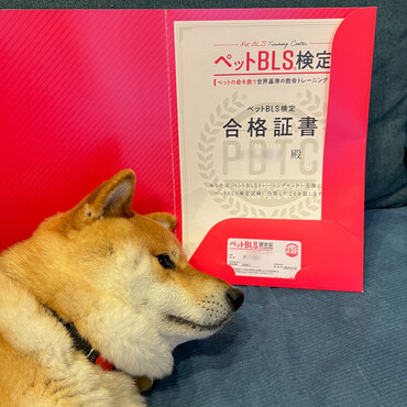 の写真