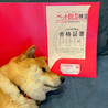 の写真