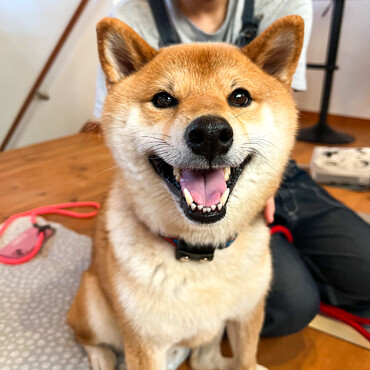 の写真