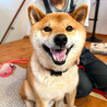 の写真