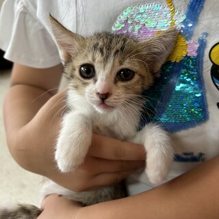 里親さま決まりました❣️