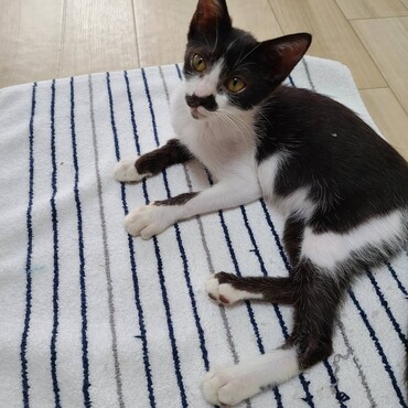 遊び疲れて休憩中