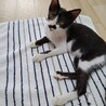 遊び疲れて休憩中