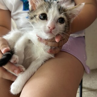 里親さま決まりました⭐️