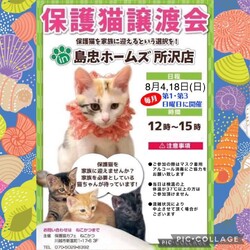 8月4日（日）島忠ホームズ所沢店譲渡会！