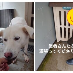 「2024.07.22-.02」サムネイル1