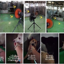 「2024.07.25」サムネイル1