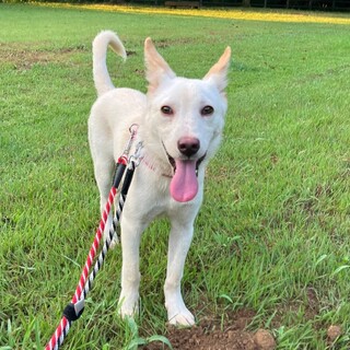 優しくおとなしい男の子☆生後4ヶ月の舟くん