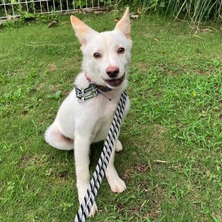 甘えっ子な可愛い男の子☆生後4ヶ月の碧くん