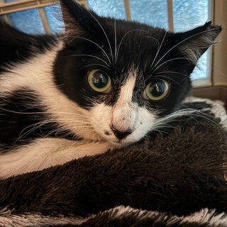 まだまだあどけない真子ちゃん