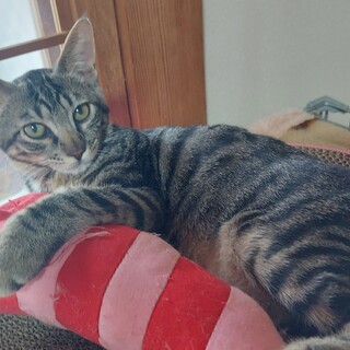 食欲旺盛(おおたに)まみこ♡