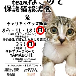 伊丹ふれあえる譲渡会 サムネイル1