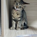 元気いっぱいチコちゃん♡