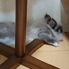 の写真
