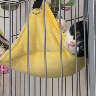 ありがとうございました