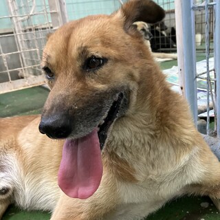 可愛い耳ペロ男の子❗️ベイリーくん