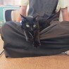 ◆くろみつ◆ハンデを感じさせない元気な甘えん坊♪ サムネイル2