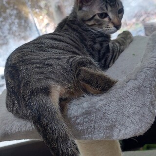 見返り美人の　りりこ♡