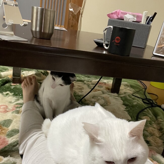 もちくらのカバー写真