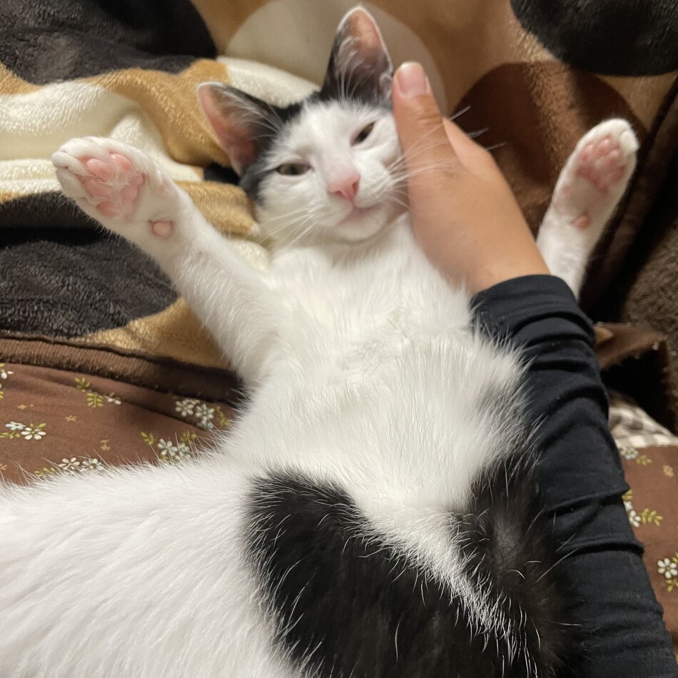 くうのカバー写真