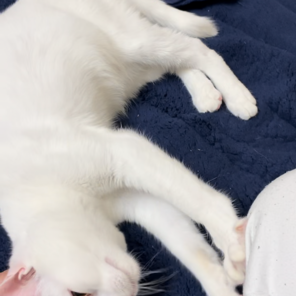 そらのカバー写真