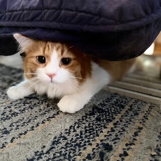 9/22稲毛海岸ෆ⃛ちょっとビビりෆ⃛とむくん