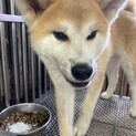やや小さめの可愛い男の子です