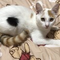 家族にして下さい❤️