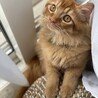 えくせるん