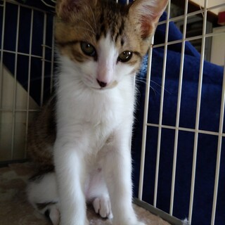 連続遺棄！過酷な環境を生き延びたユキチくん♥