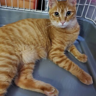 甘えん坊、たらくん♪