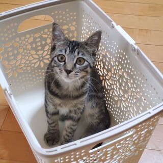 嵐を生き延びた強運の男の子