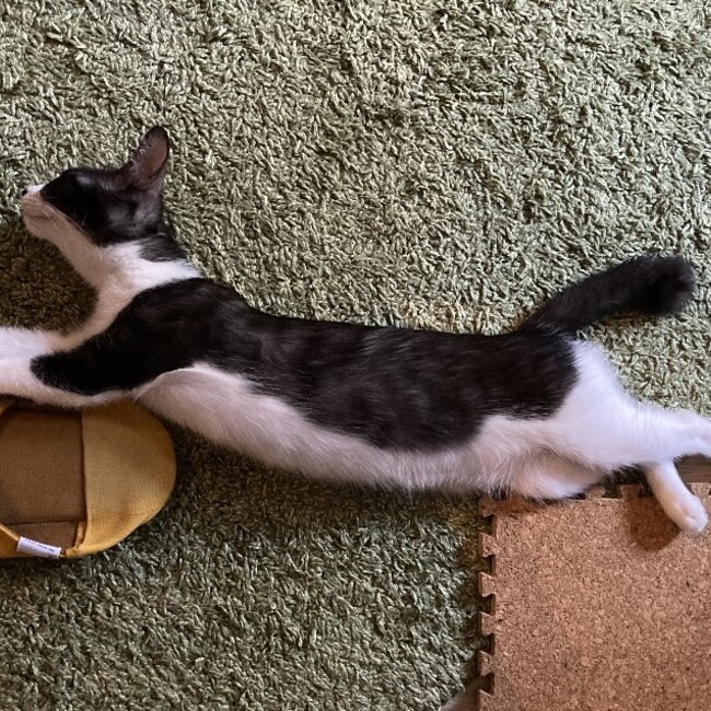 みのるみのるのカバー写真