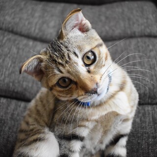 3ヶ月の男の子！