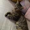 ストーカー並みに人が大好きすぎる子です サムネイル2