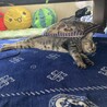 ストーカー並みに人が大好きすぎる子です サムネイル3